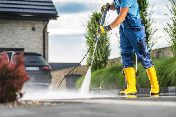 Best Exterior Home Cleaning  in Woodville, MS